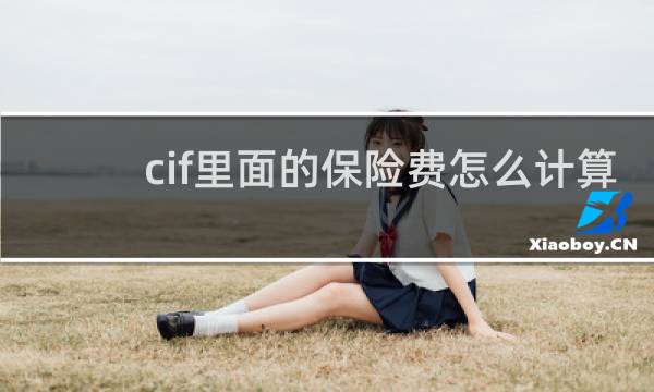 cif里面的保险费怎么计算图片