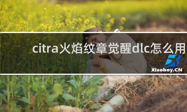 citra火焰纹章觉醒dlc怎么用