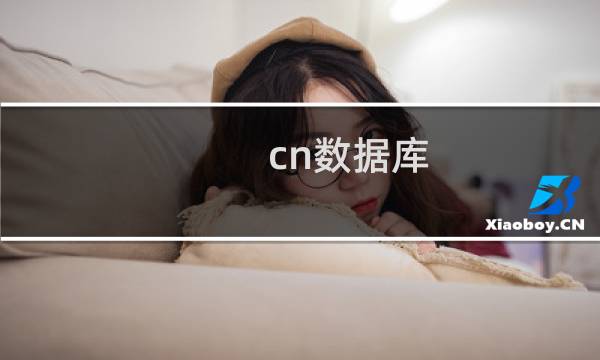 cn数据库
