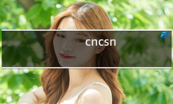 cncsn.com已经可以正常访问,请报送管局审核,谢谢
