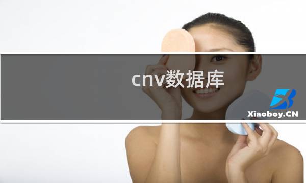cnv数据库