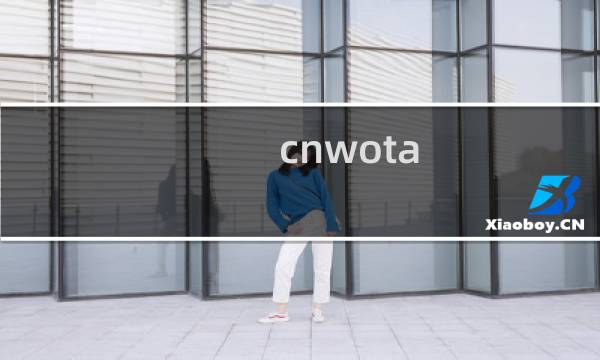 cnwota.com域名无法打开
