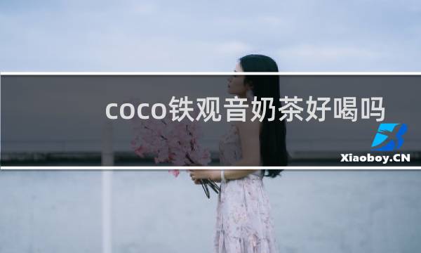 coco铁观音奶茶好喝吗