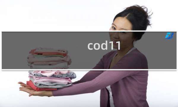 cod11 攻略