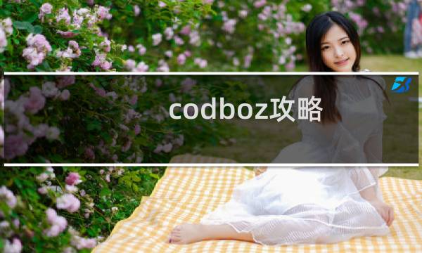 codboz攻略