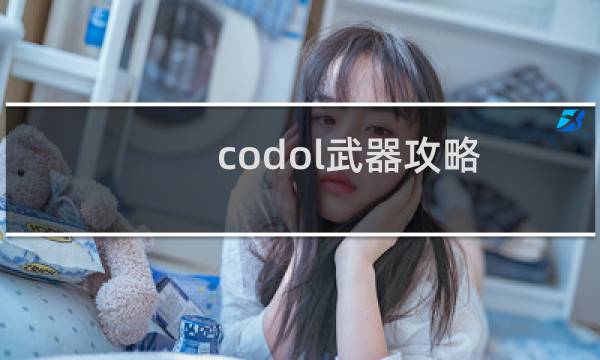 codol武器攻略