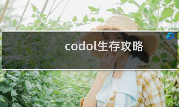 codol生存攻略