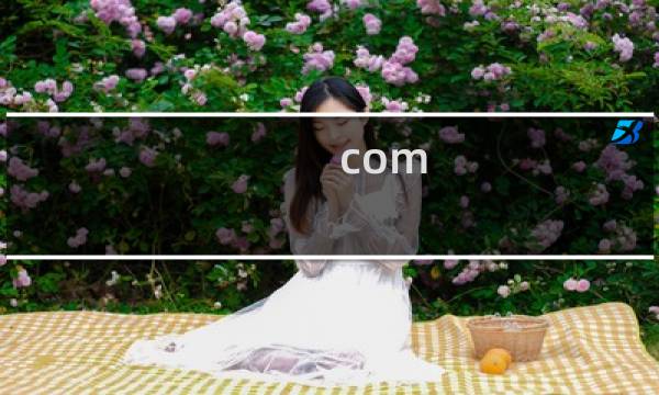 com surrogate 已停止工作解决办法 32/64位