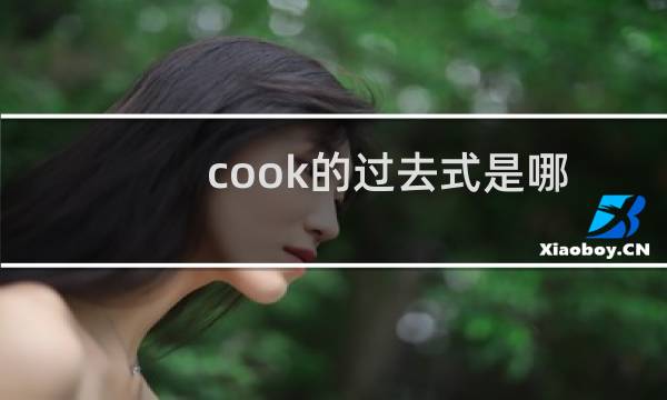 cook的过去式是哪个单词（cook的过去式是什么啊）