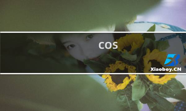 cos 最终幻想