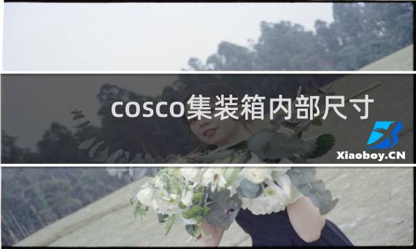 cosco集装箱内部尺寸