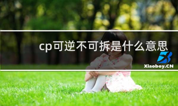 cp可逆不可拆是什么意思