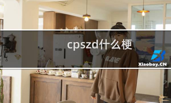 cpszd什么梗