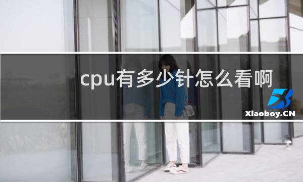 cpu有多少针怎么看啊