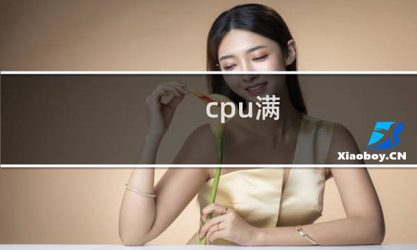 cpu满 php-cgi.exe进程多 提示数据库连接失败
