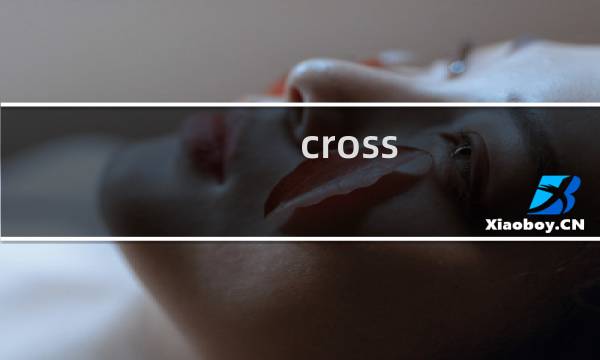 cross code攻略