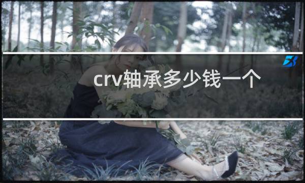 crv轴承多少钱一个