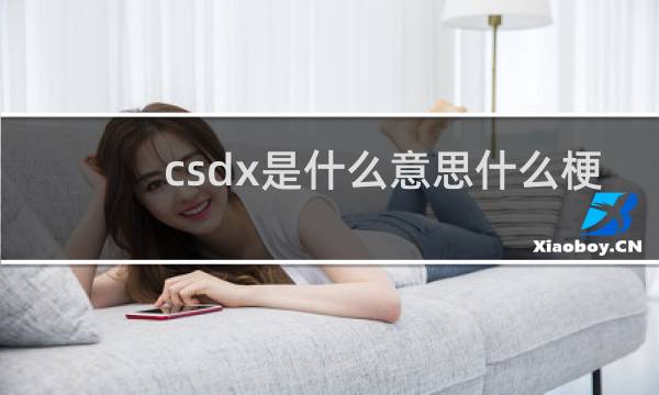 csdx是什么意思什么梗