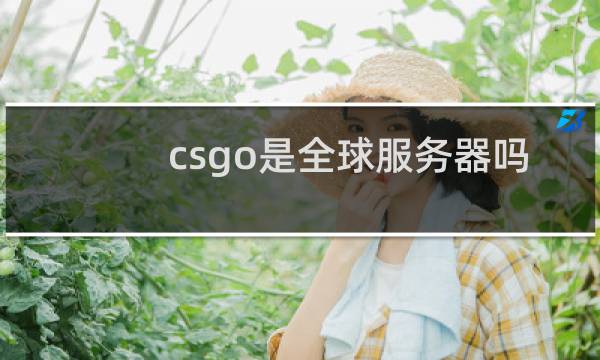 csgo是全球服务器吗