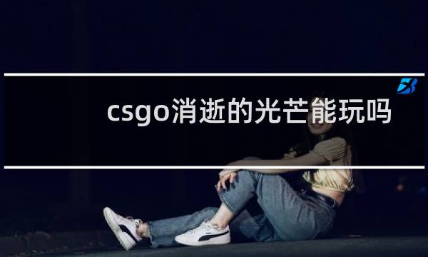 csgo消逝的光芒能玩吗