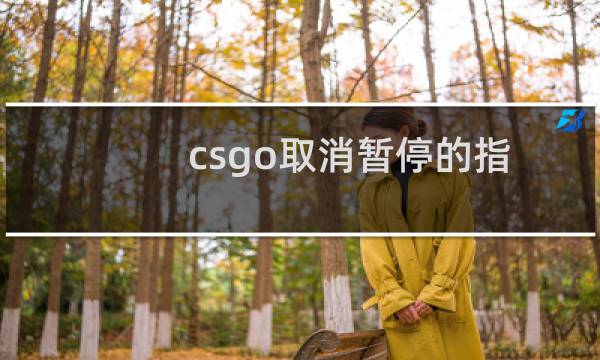 csgo取消暂停的指令简写（csgo取消暂停的指令）图片