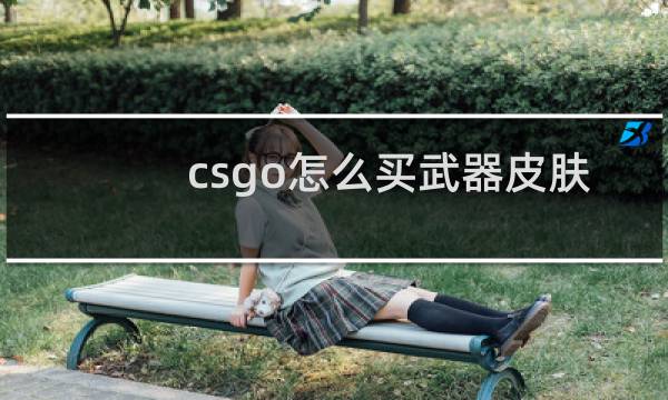 csgo怎么买武器皮肤