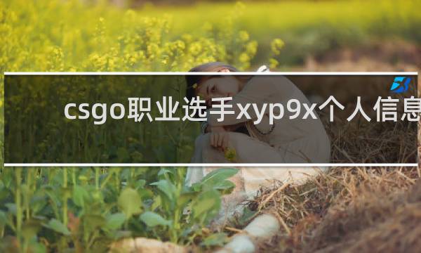 csgo职业选手xyp9x个人信息_A队九爷xyp9x介绍_鲸吼百科