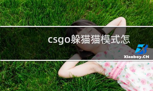 csgo躲猫猫模式怎么进（csgo国服躲猫猫模式在哪）图片