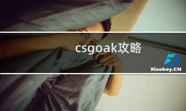 csgoak攻略