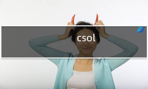 csol 中国角色