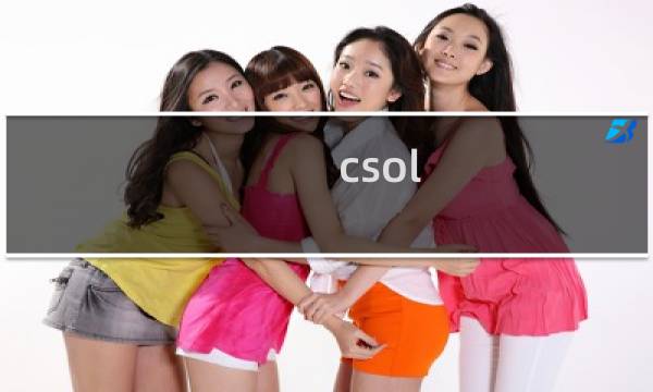 csol 危机 经验
