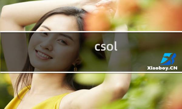 csol 团队模式