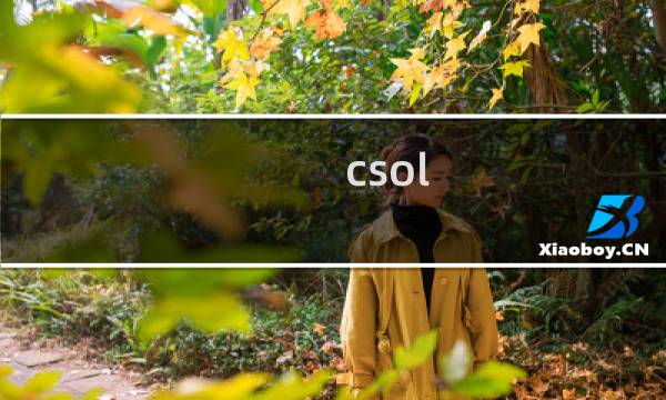 csol 守护模式