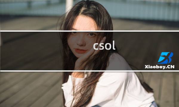 csol 怎么登陆