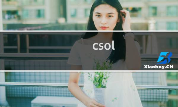 csol 显示尺寸