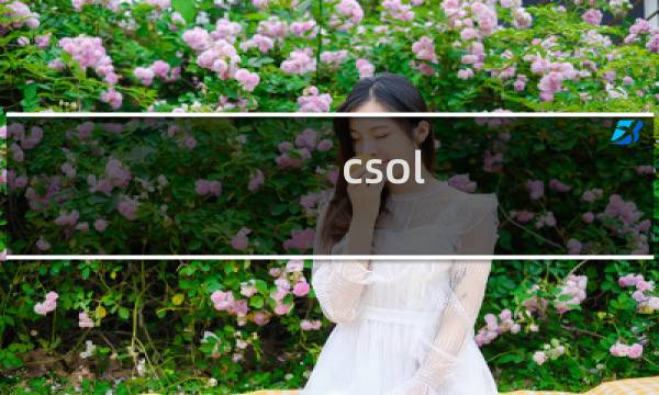 csol 武器配件指南