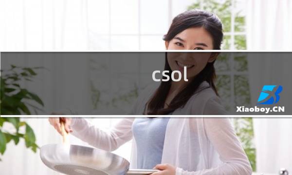 csol 活动在哪里