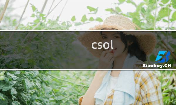 csol 灾变模式