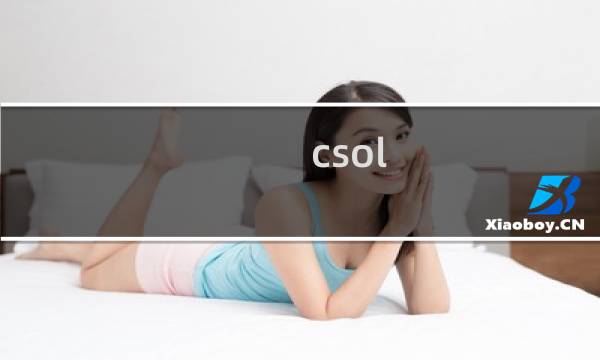 csol 界面