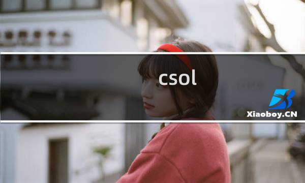 csol 等级过低