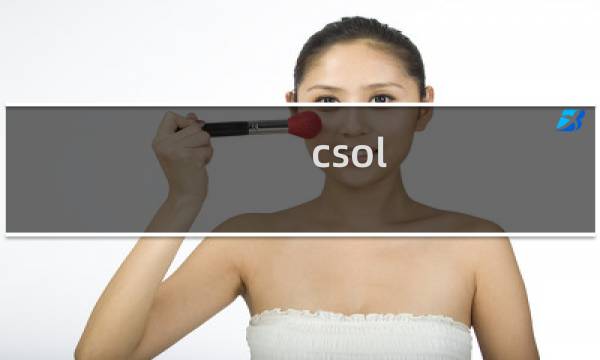 csol 经验表