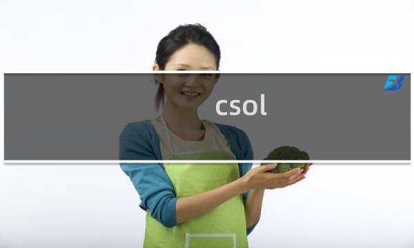 csol 网吧任务