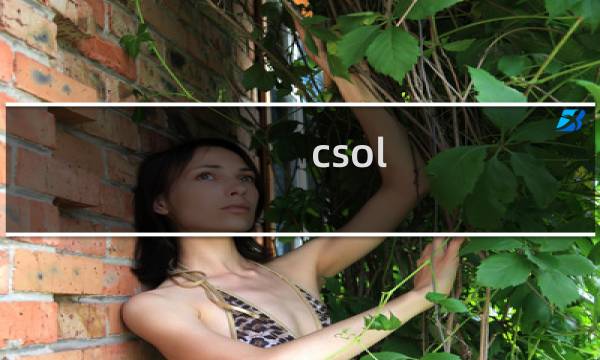 csol 老是错误