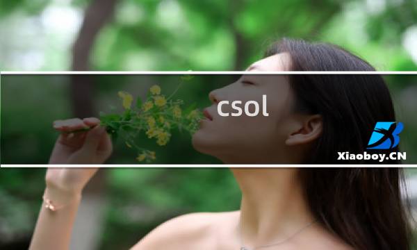 csol 配件效果
