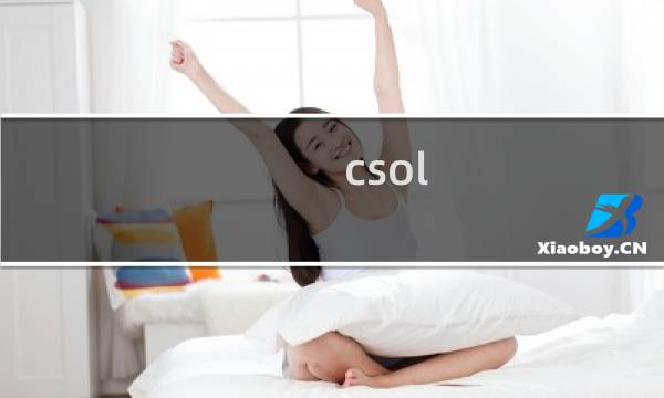 csol 领主装饰道具