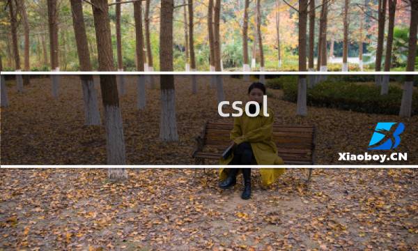 csol CS区别