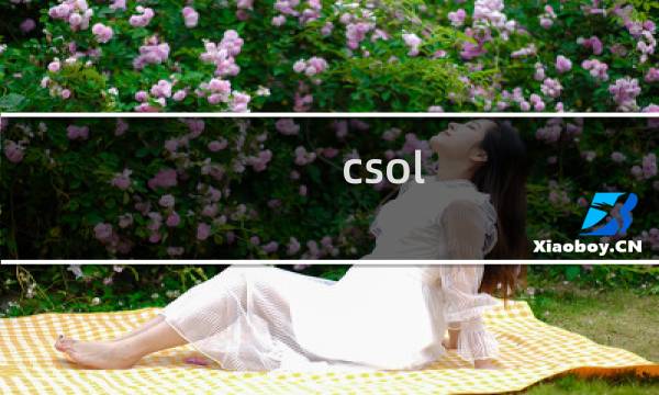 csol m14值得买吗
