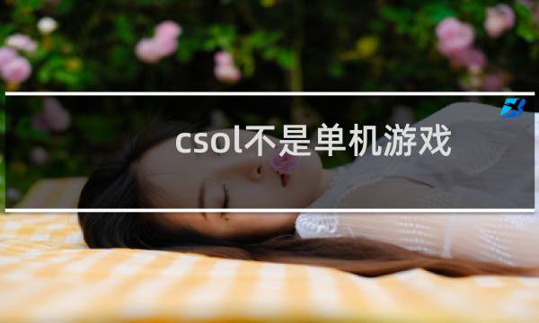 csol不是单机游戏
