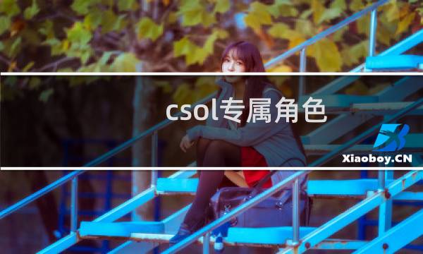 csol专属角色