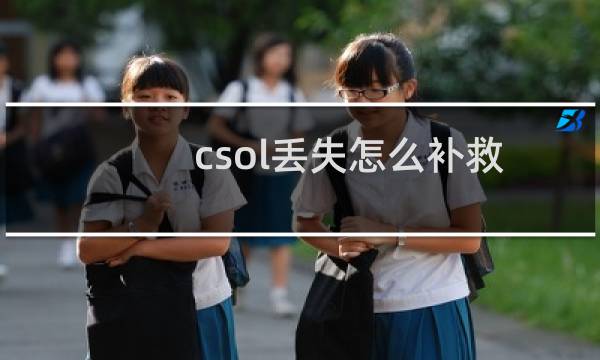 csol丢失怎么补救